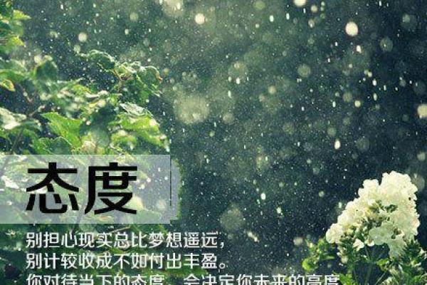 命不压命：生命的自主与追求自由的哲学探讨