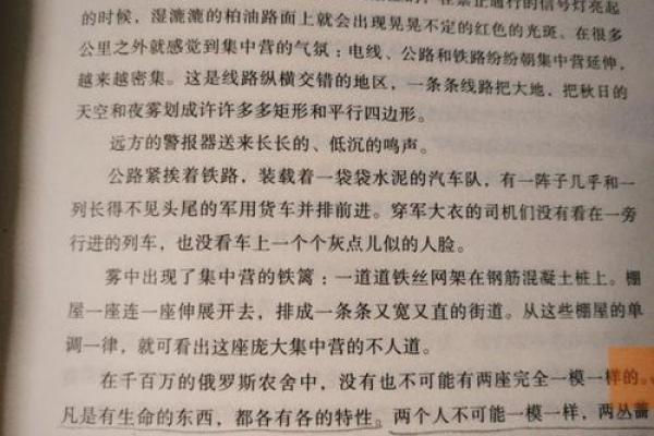 深度解析：命服的含义与生活影响，让命运更美好