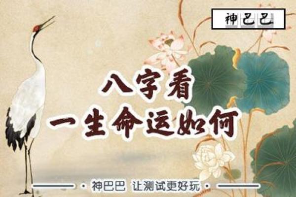 根据免费算命，了解你的命运与未来之路！