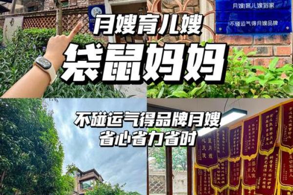 2024年孩子的命运与运势解析：如何为新生命赋予好运气