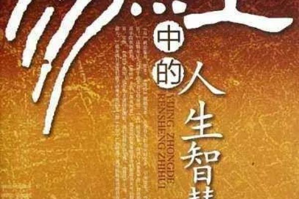 命理探秘：解读古老智慧的书籍之旅
