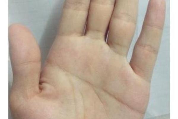 揭秘柳木命的神秘命格与生命能量之旅