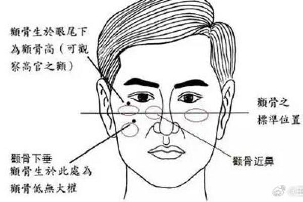 眉骨凸起的男人：揭示命运与个性的深刻联系