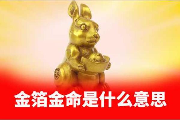 命里有100克是什么命？解读与认识人生中的重量与意义