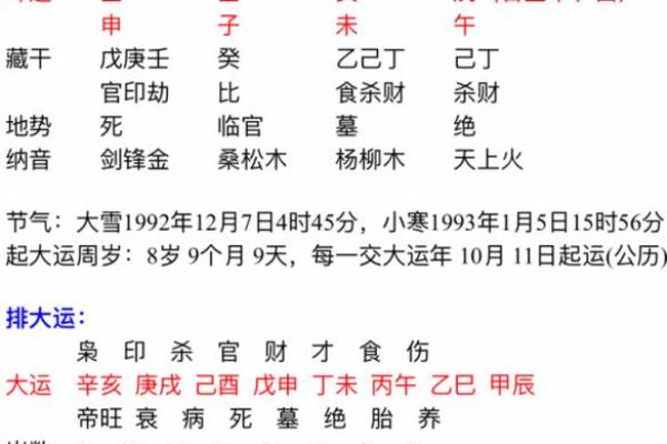 庐中火命的命理解析：如何选择适合自己的命格