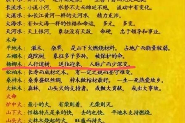 木命男娶金命女：命理中的美满组合与和谐相处之道