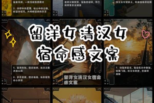命归仇仙管——探索宿命与复仇的交织之路