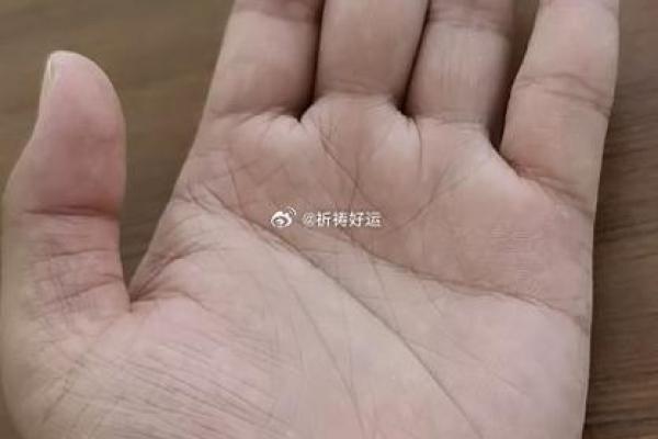蝴蝶命女：手相中隐藏的美丽与命运之谜