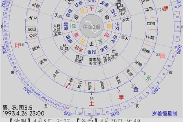 明年发财的命理解析：哪些命格将迎来财富机遇？