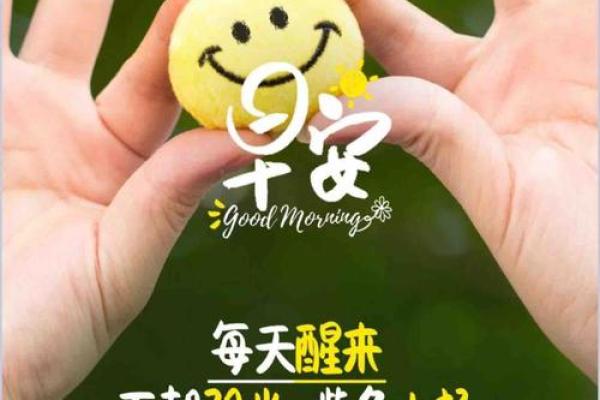 命的一半加羽，释开心灵的自由与梦想