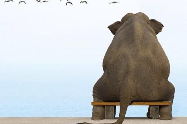探索玛瑙命的人：他们的性格与人生旅程