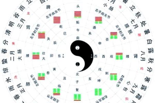 命理五行缺水的人生解析与命运特点