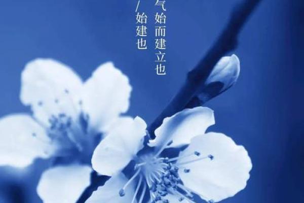 立春出生的人命理解析：如何把握人生的春天机遇