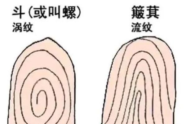 男人十个斗：揭示你命运的秘密与生活智慧