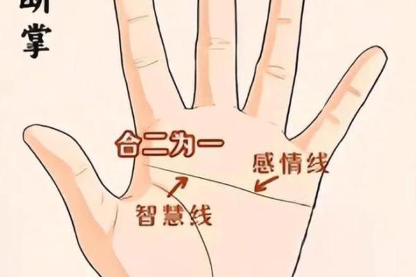 男人十个斗：揭示你命运的秘密与生活智慧