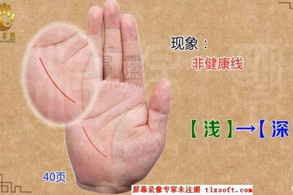 命理财运解析：如何通过命理提升财富运势？