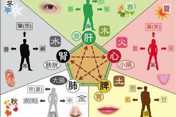 属猪的人五行喜好及相应的生活方式探讨
