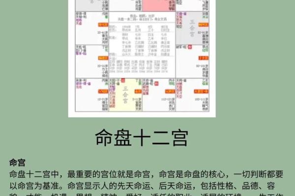 命残解析：探寻命运与生命的深刻内涵与影响