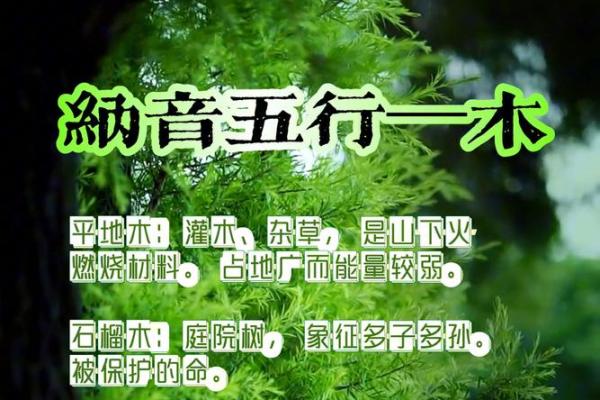 木命人适合与什么命的人配对：寻觅心灵的契合之旅