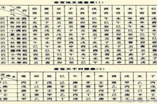 命宫为离者最配的命型分析：探寻和谐与幸福的秘钥