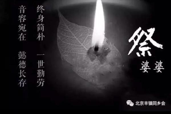 命很轻薄，人生如梦：探讨生命的脆弱与价值