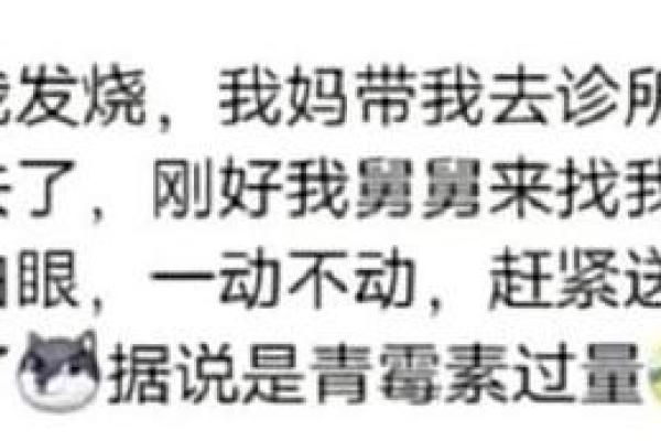 命硬的人生哲学：从“命啊命硬啊硬”中寻找勇气与信念