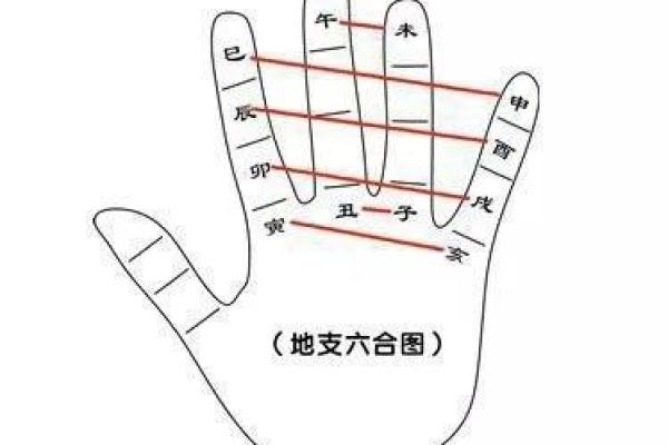 路边土命与其他命相合的奥秘探索