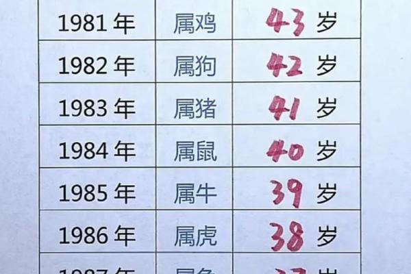 女属猴五月十二，命理解析与人生运势