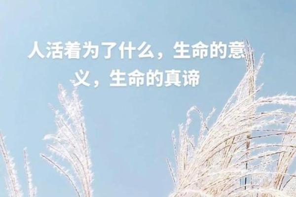 命理学视角下的运气：解码人生的机遇与挑战