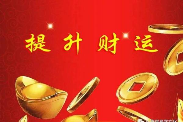 木命人适合的生意：开启你的财运之门！