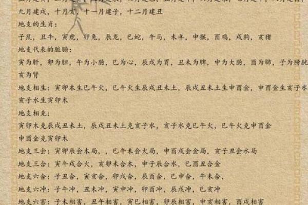 揭开命理之谜：命坐地支的深层含义与影响