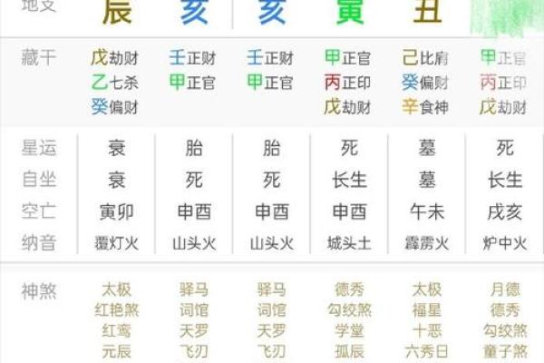 亥午暗合木：女命中的命理之美与人生启示