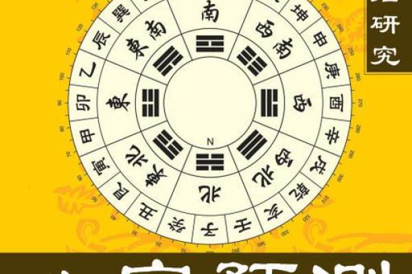 亥午暗合木：女命中的命理之美与人生启示