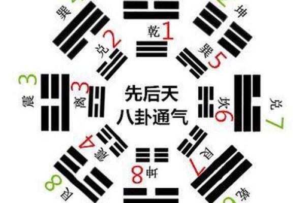 命卦巽东四命揭秘：如何利用巽卦的智慧改善你的生活