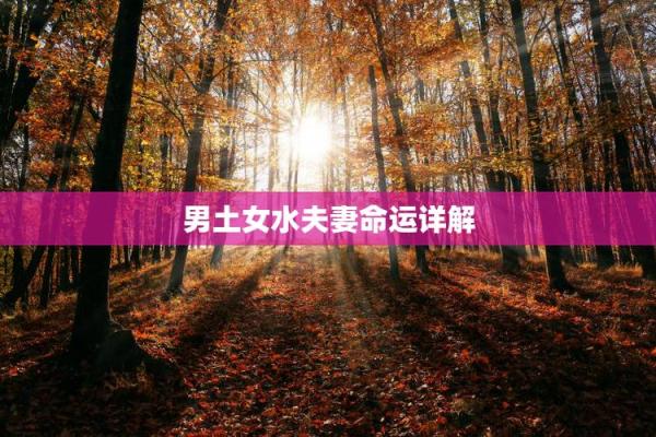 木命与土命结合的和谐美妙之道