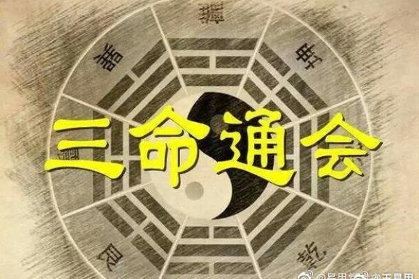 炉中火命的女人适合养什么？揭开五行与宠物之间的奥秘！