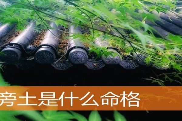 路旁土命：探索土命的奥秘与生活基调
