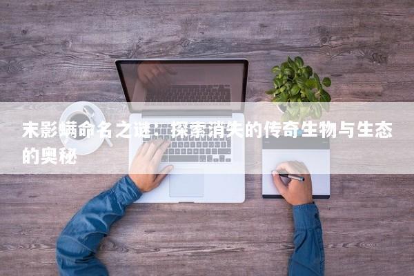 末影螨命名之谜：探索消失的传奇生物与生态的奥秘