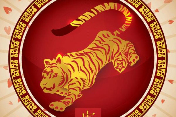 明天兔年出生的人命运解析：兔年的独特性与新生机遇