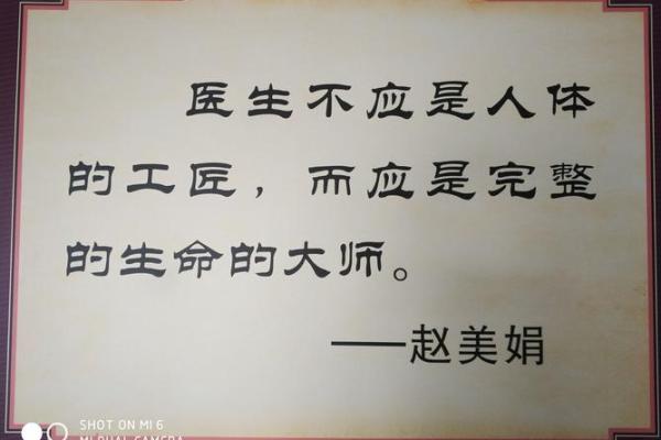 离婚女人的命运探究：如何重拾人生新篇章
