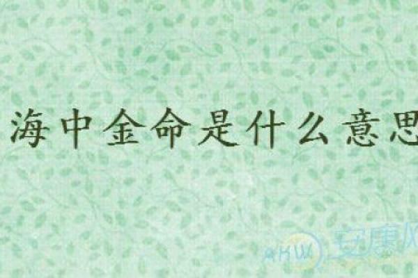 命中带金，走向繁荣：探秘命理中金命的独特魅力
