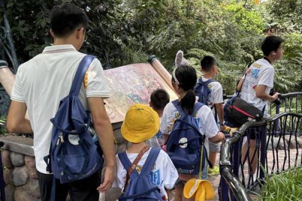 命里喜金土的探索之旅：生活中的选择与成长