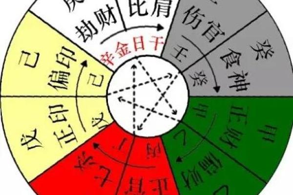 木命与水命：选择行业的最佳指南