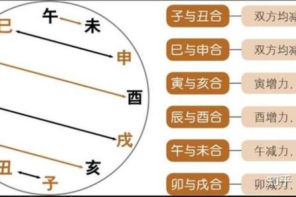 男命地支多合的奥秘与人生启示