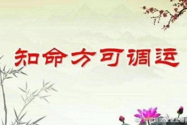 财旺杀旺的命局解读：把握运势，助你更好地理财与投资