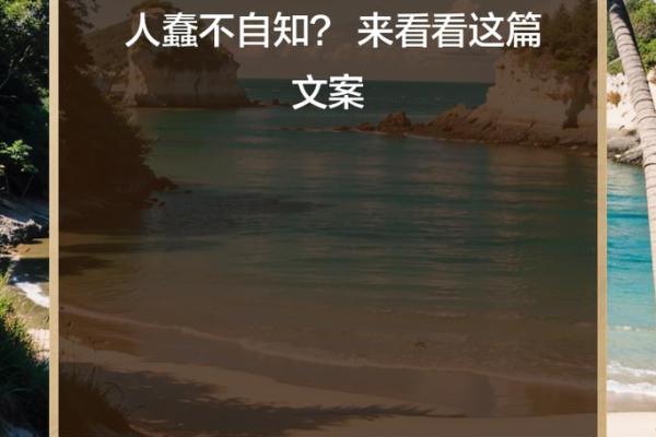从迷茫到觉悟，我选择信命的那一刻