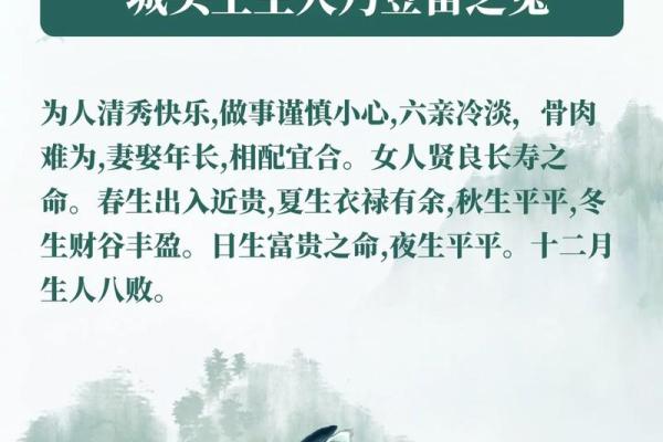 明年出生男孩的命运：解密2024年的生肖与命理
