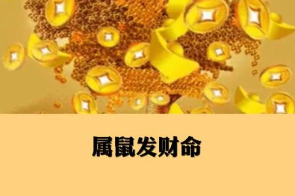 明年出生男孩的命运：解密2024年的生肖与命理