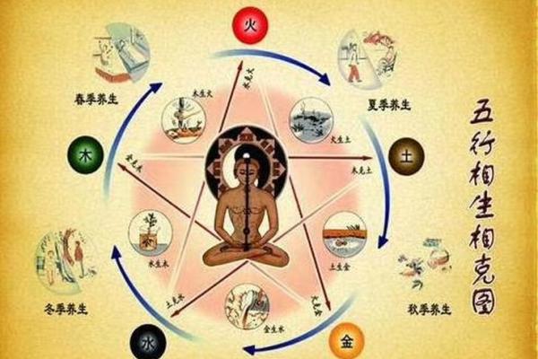 木命人最适合与哪些命相结合，提升彼此的运势与幸福感？