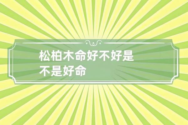 木命人最需的颜色：助力成长与运势的秘密分享